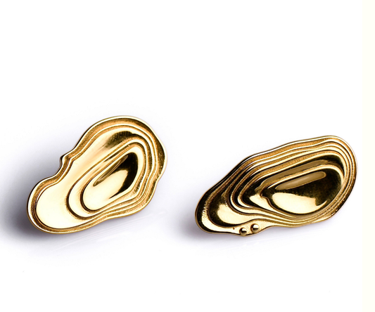 Hear Ye Earrings