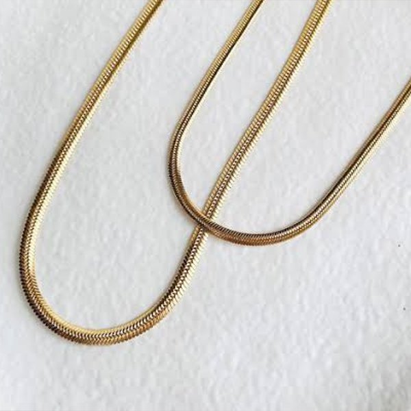 Gold and Silver Wren